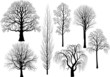 Collection of trees in black