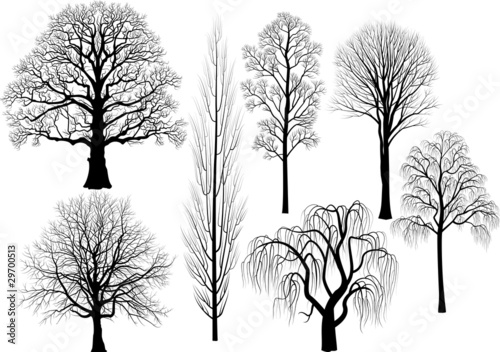 Vector: Collection of trees in black Collection of trees in black