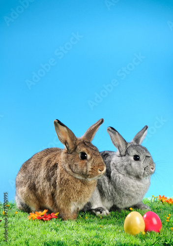 Photo: Frohe Ostern 06 Frohe Ostern 06