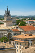 view on medieval town Avignon, France