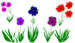 bunte blumen bunte blumen