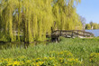kleine Brücke auf dem BUGA-Gelände