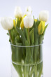 Tulpen in einer Glasvase Tulpen in einer Glasvase