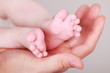 Füße in der Hand