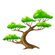 Cartoon vector tree bansai with white background