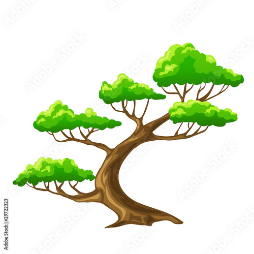 Vector: Cartoon vector tree bansai with white background Cartoon vector tree bansai with white background