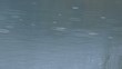 Ronds dans l'eau