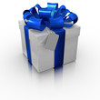 Blue and white gift box