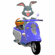 osterhase auf scooter