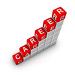 Ladder of Career
