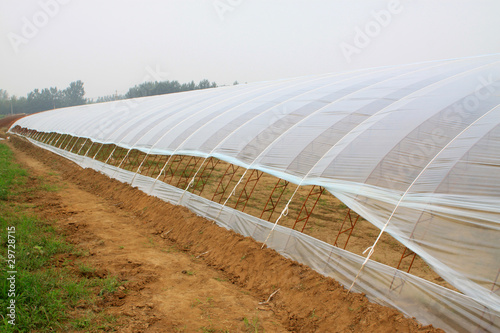 Photo: vegetable greenhouse vegetable greenhouse