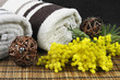 Ambiance Zen et Spa Ambiance Zen et Spa