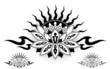 Lotus Sun Flower