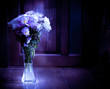 Chrysanthemum in the Vase