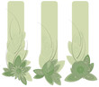 Banners in art nouveau style.