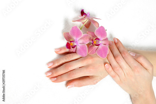 Photo: Beautiful hand with perfect nail french manicure and purple orch Beautiful hand with perfect nail french manicure and purple orch