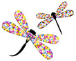 Dragonfly in flowers Dragonfly in flowers