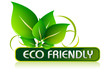 Eco Friendly Icon