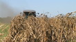 Video: Combine Harvesting Corn 05 Combine Harvesting Corn 05