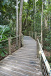 Rain Forest on the road to Kuranda