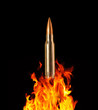 Bullet and flames