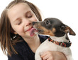 Photo: Girl getting kisses from dog Girl getting kisses from dog