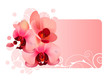 Ornate frame with orchid pink flowers Ornate frame with orchid pink flowers