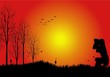 fotografa