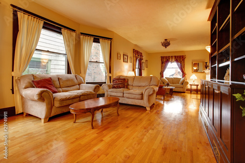 Luxury Living Rooms on Photo  Gold Luxury Living Room With Two Beige Sofas    Iriana Shiyan