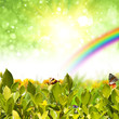 Nature background Nature background