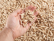 Wood Pellet