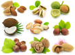 Fresh nuts with leaves