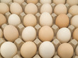The tray with is full some eggs