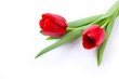 Rote Tulpen