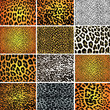 Collection of 12 vector skin animal texture