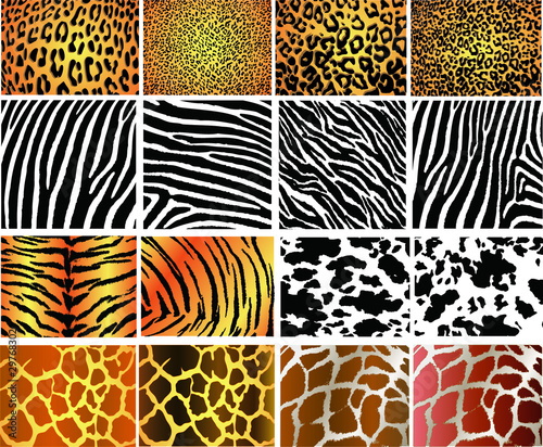 Vettoriale: Collection of 16 vector skin animal texture Collection of 16 vector skin animal texture