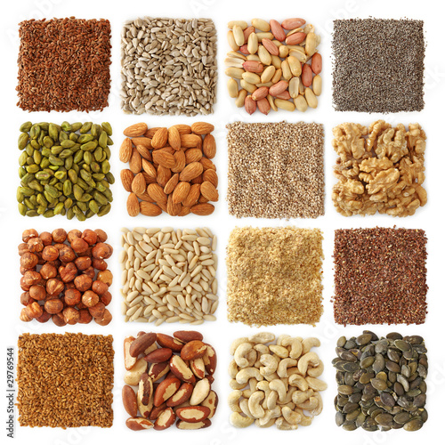 Photo: Oil seeds and nuts collection Oil seeds and nuts collection