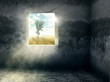Foto: Fenster Fenster