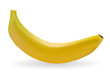 Fresh banana on a isolated background,vector