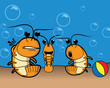Shrimp at the beach Shrimp at the beach