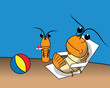 Shrimp at the beach Shrimp at the beach