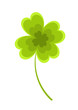 Clover vector Clover vector