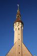 Tallinn old city par, a curch. Estonia