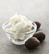 Foto: Shea butter and nuts in bowl Shea butter and nuts in bowl