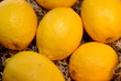 Fresh Lemons Fresh Lemons