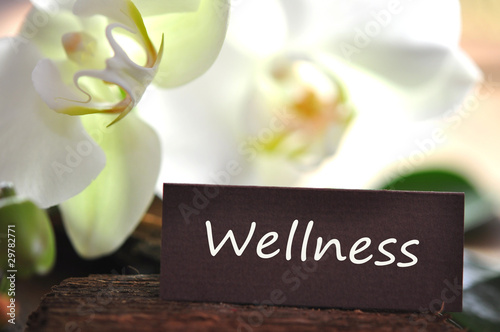 Photo: Wellness Wellness