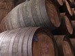 vine cellar with colheta  porto tawny wooden barrels