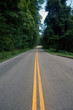 Highway through the woods