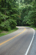 Highway through the woods