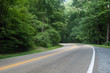 Highway through the woods